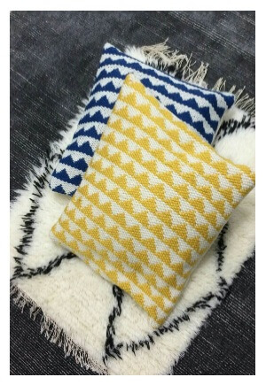 Cushion